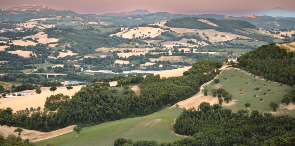 Terre di Serrapetrona