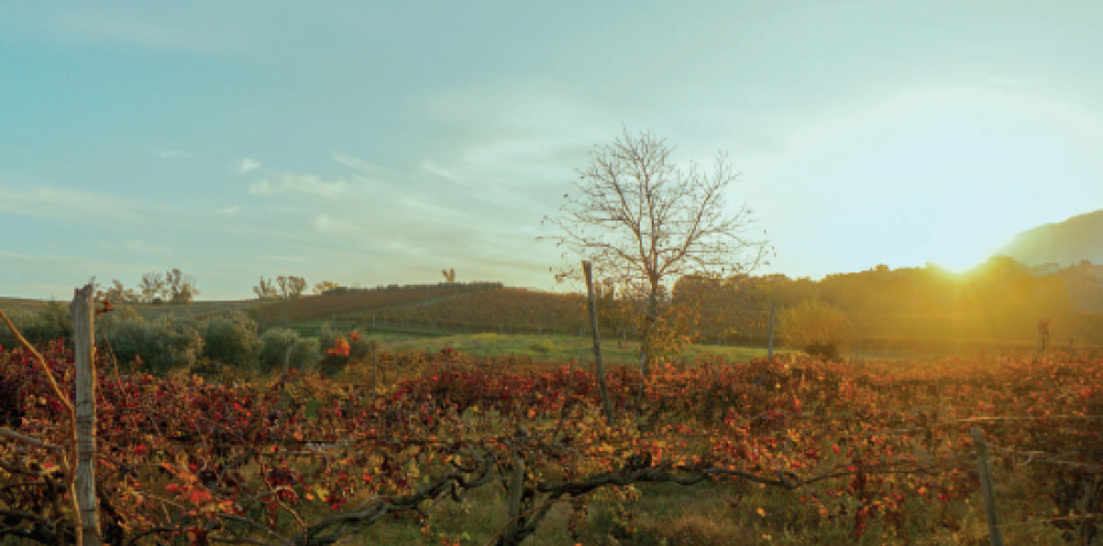 Montemajor